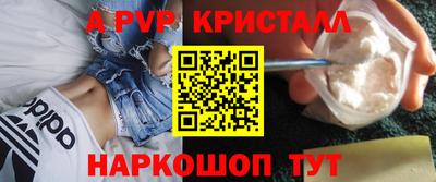 шишки Новодвинск