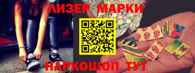шишки Новодвинск