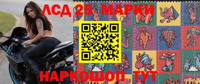 скорость Новозыбков