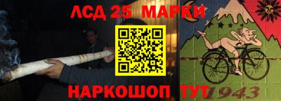 шишки Новодвинск