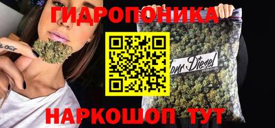 индика Обь