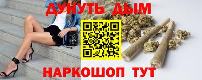 шишки Новодвинск