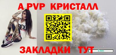 шишки Новодвинск