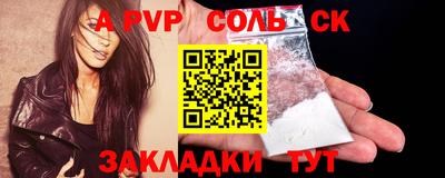 шишки Новодвинск