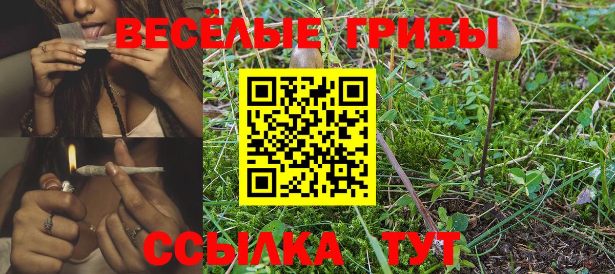 Сосновоборск  Галлюциногенные грибы GOLDEN TEACHER  Вход с VPN 